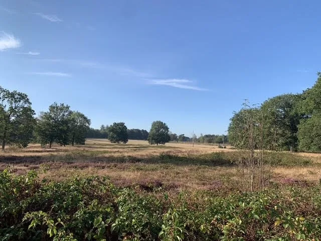 Vogelzang Veldweg 23 22 Hattemerbroek thumbnail 15