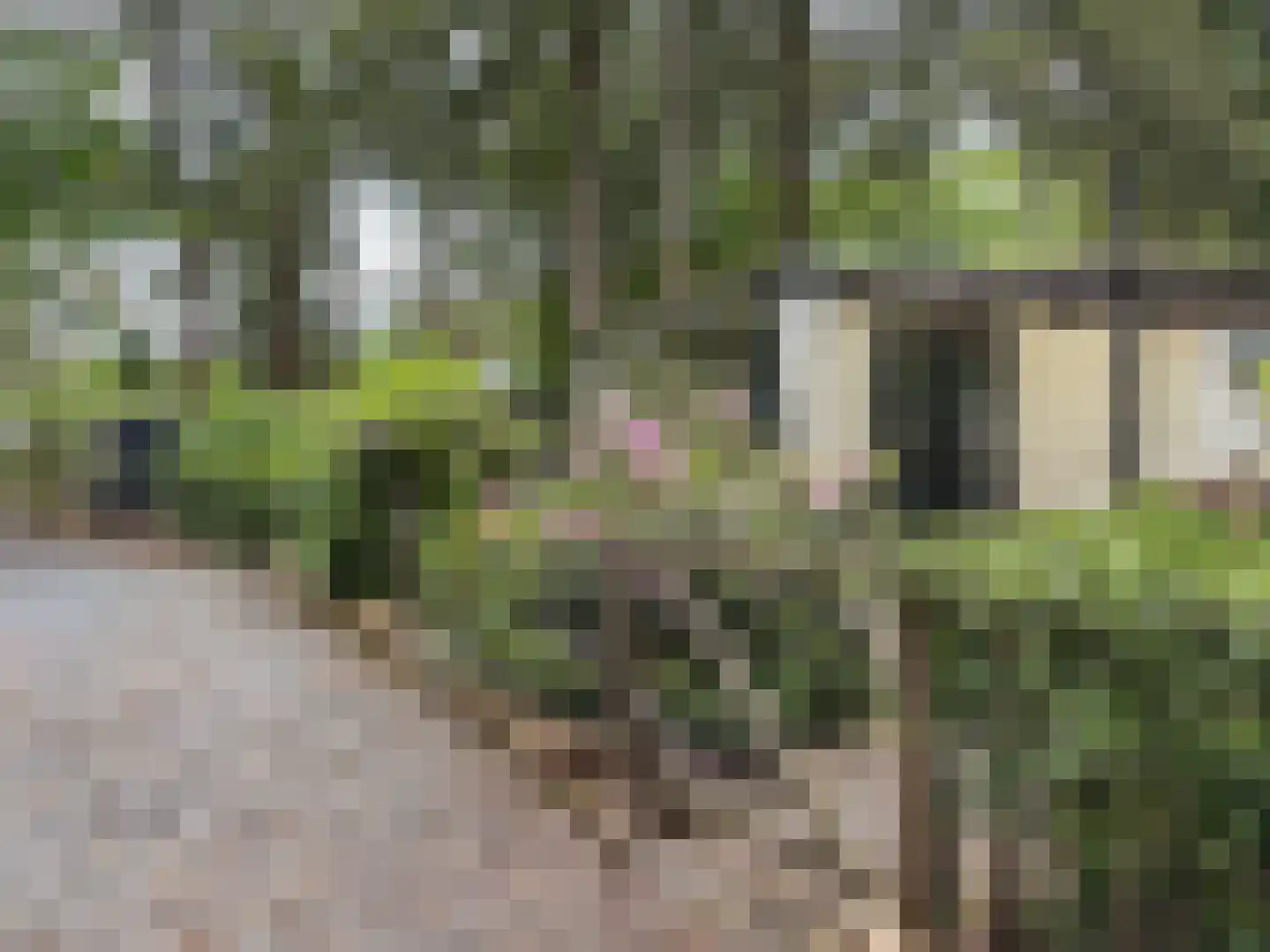 Vogelzang Veldweg 23 Hattemerbroek thumbnail 4