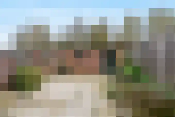 Vogelzangh 8 Montfoort thumbnail 11