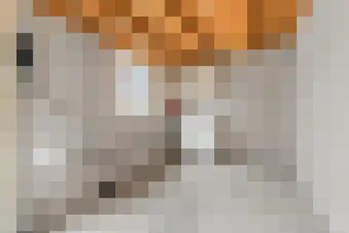 Vogelzangh 8 Montfoort thumbnail 13
