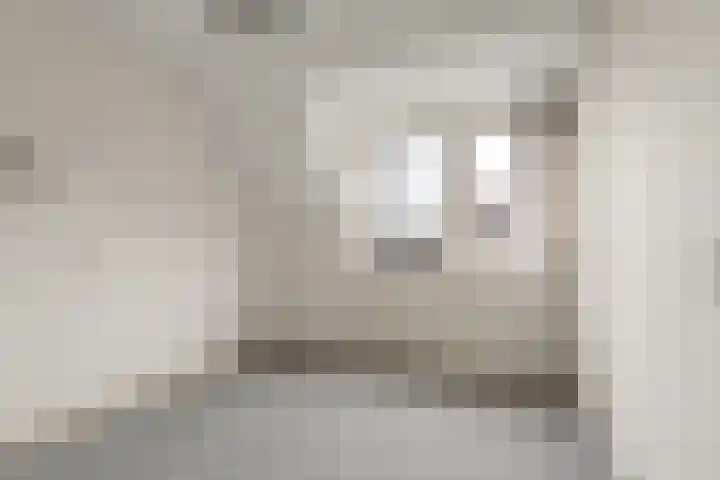 Vogelzangh 8 Montfoort thumbnail 17