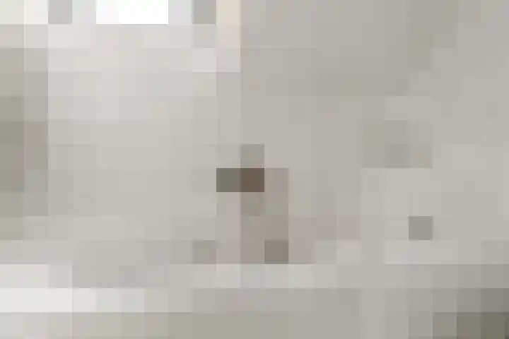 Vogelzangh 8 Montfoort thumbnail 22