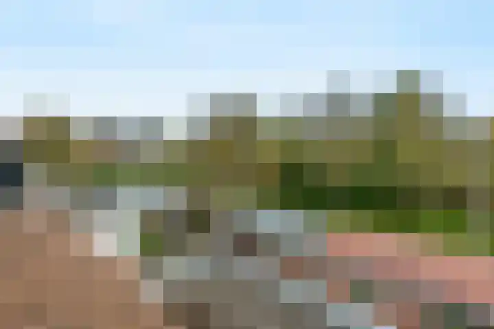 Vogelzangh 8 Montfoort thumbnail 26