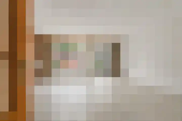 Vogelzangh 8 Montfoort thumbnail 4