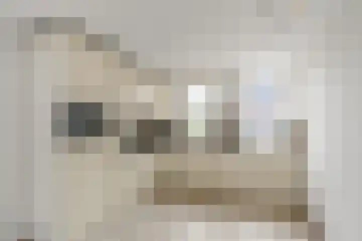 Vogelzangh 8 Montfoort thumbnail 8