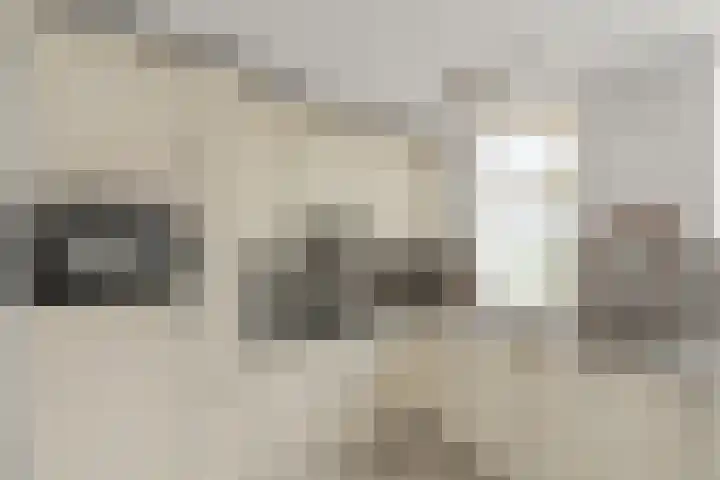 Vogelzangh 8 Montfoort thumbnail 9