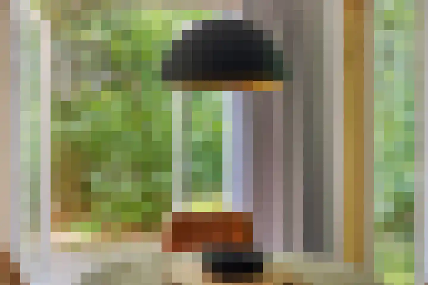 Vogelzangpad 3 Norg thumbnail 15