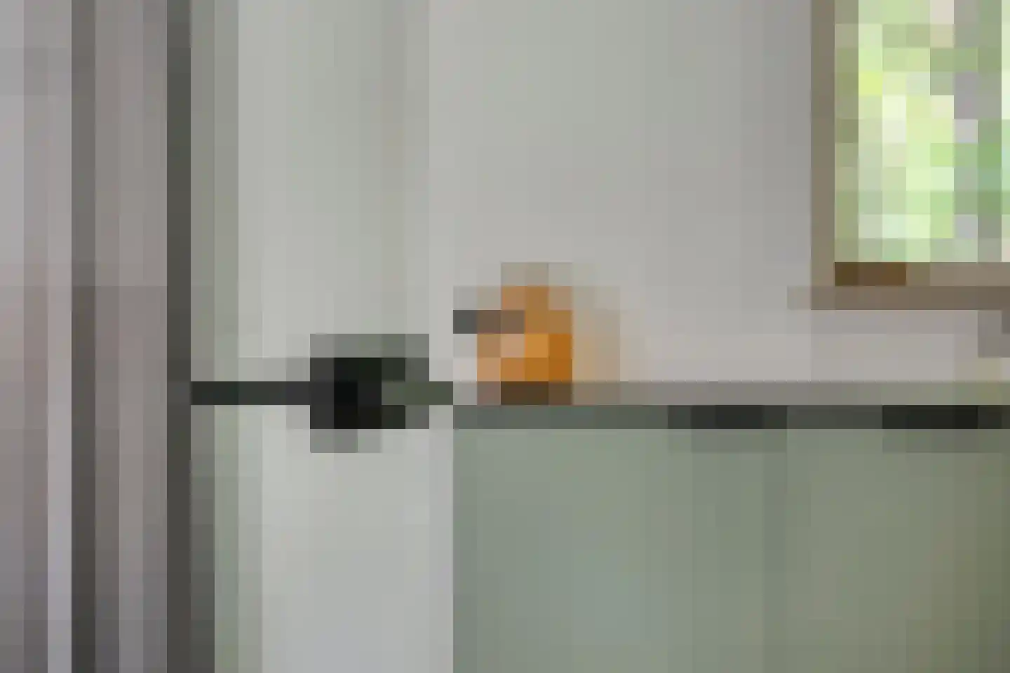 Vogelzangpad 3 Norg thumbnail 16
