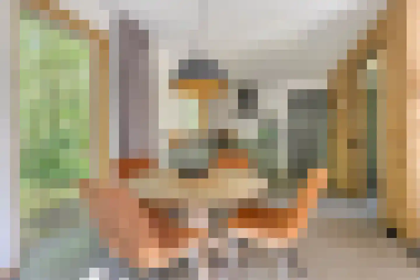 Vogelzangpad 3 Norg thumbnail 17