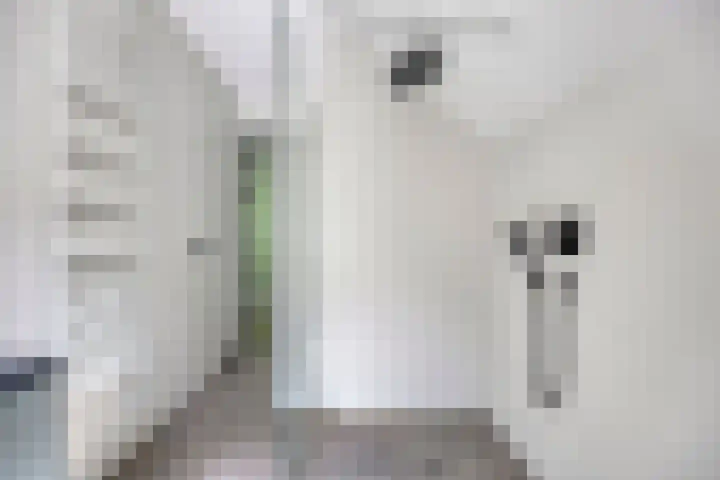 Vogelzangpad 3 Norg thumbnail 29