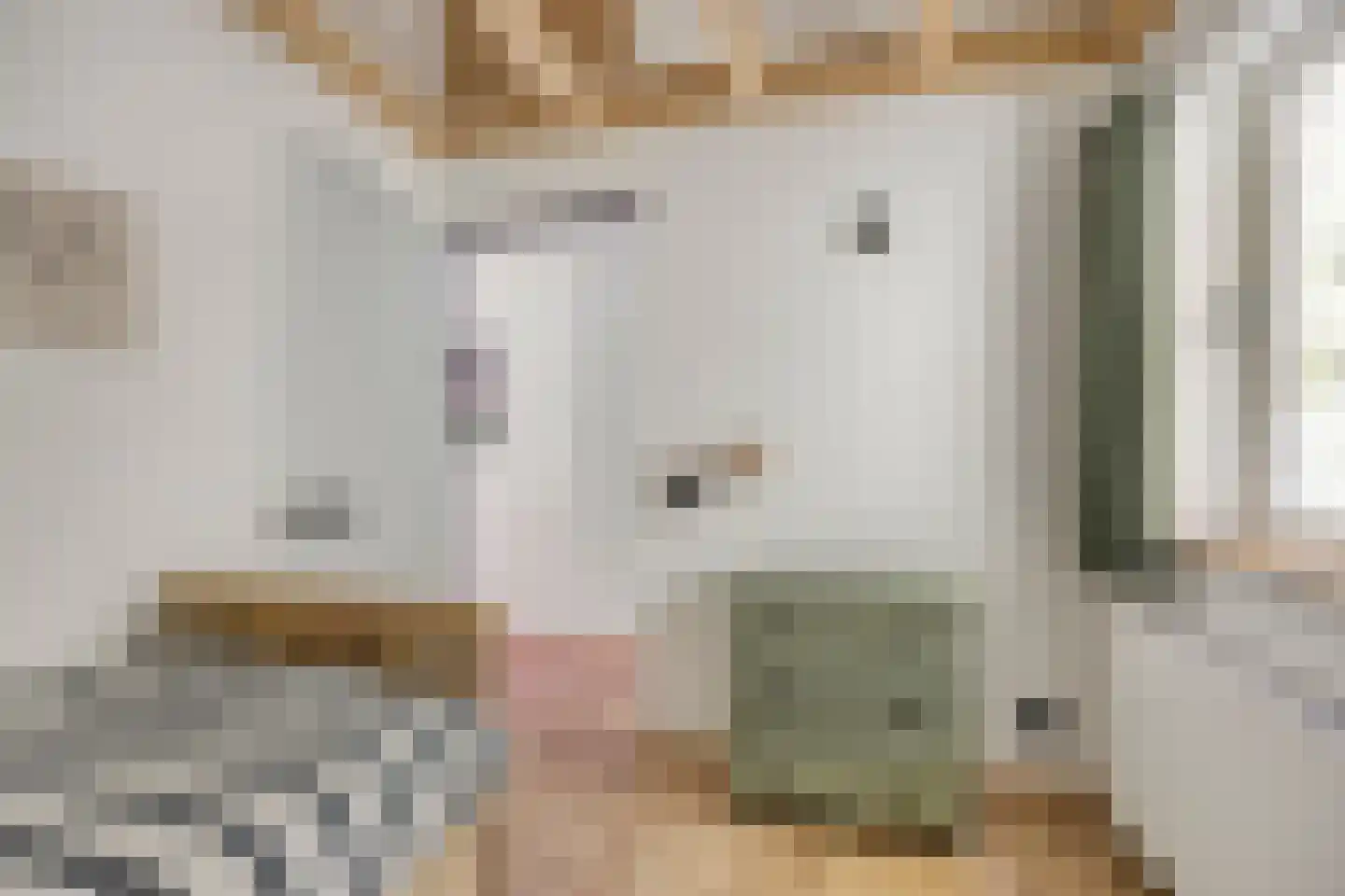 Vogelzangpad 3 Norg thumbnail 32