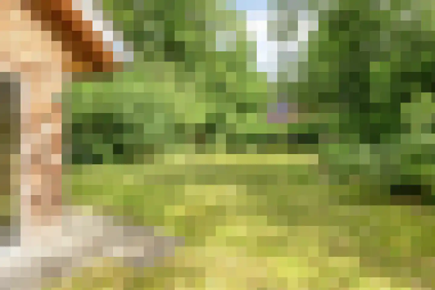 Vogelzangpad 3 Norg thumbnail 36