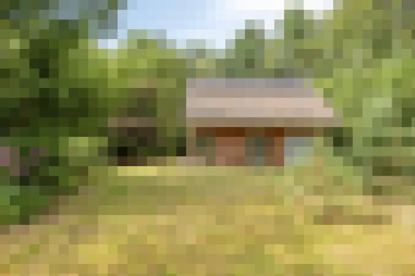 Vogelzangpad 3 Norg thumbnail 37