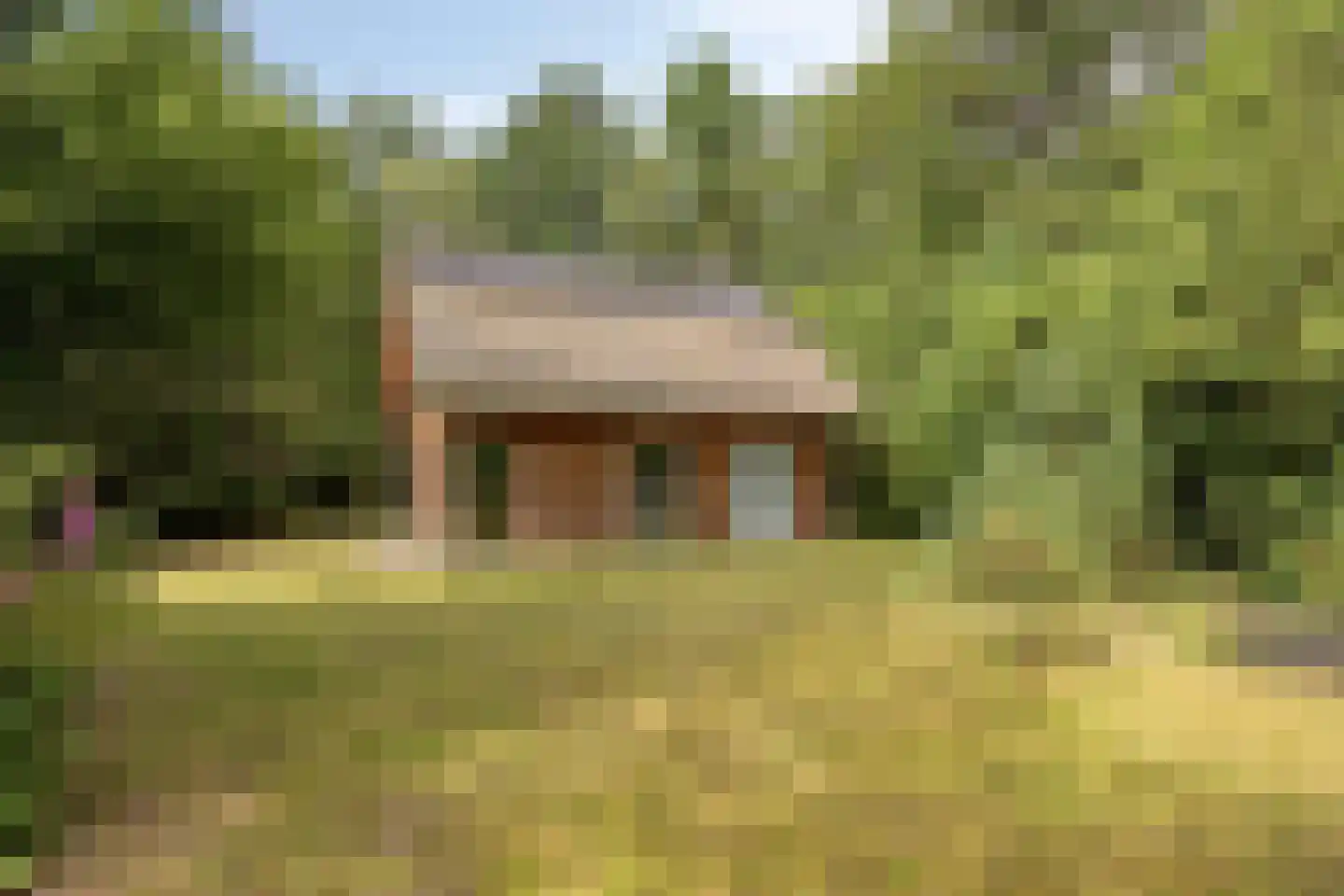 Vogelzangpad 3 Norg thumbnail 38