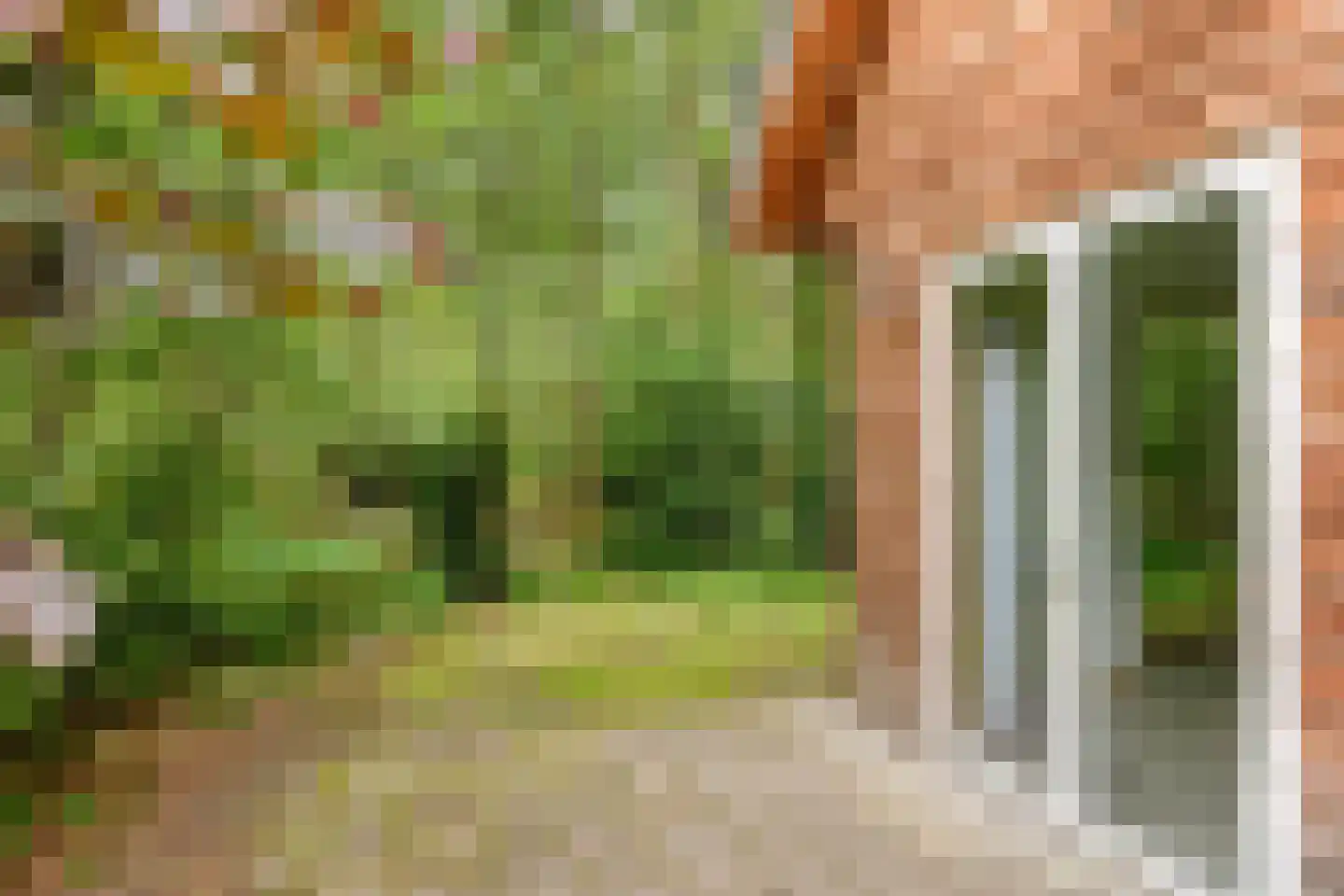 Vogelzangpad 3 Norg thumbnail 41