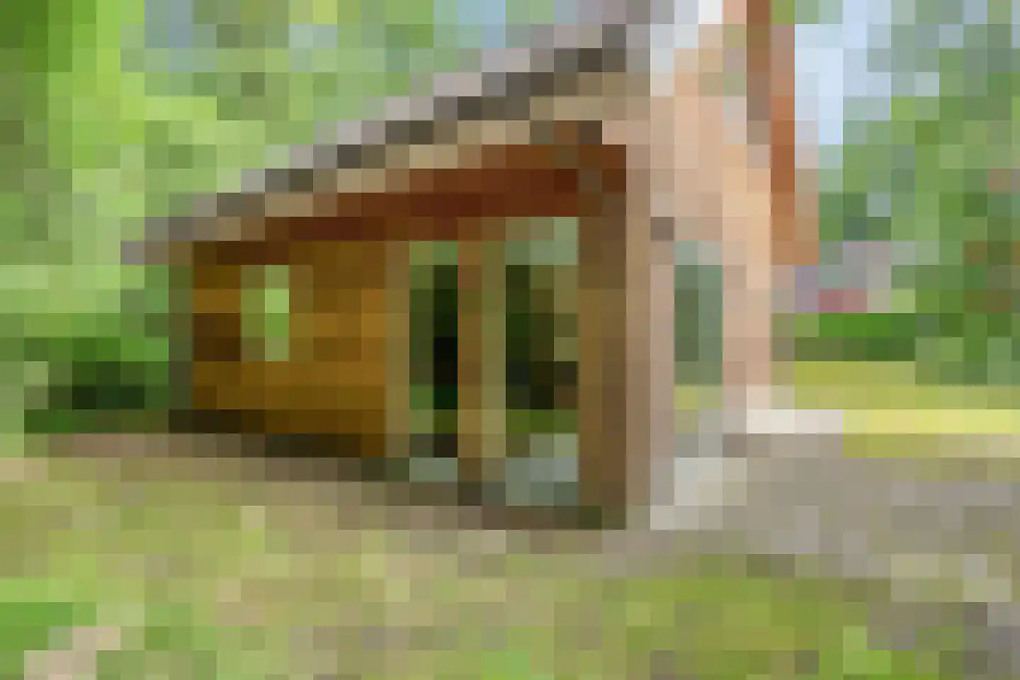 Vogelzangpad 3 Norg thumbnail 43