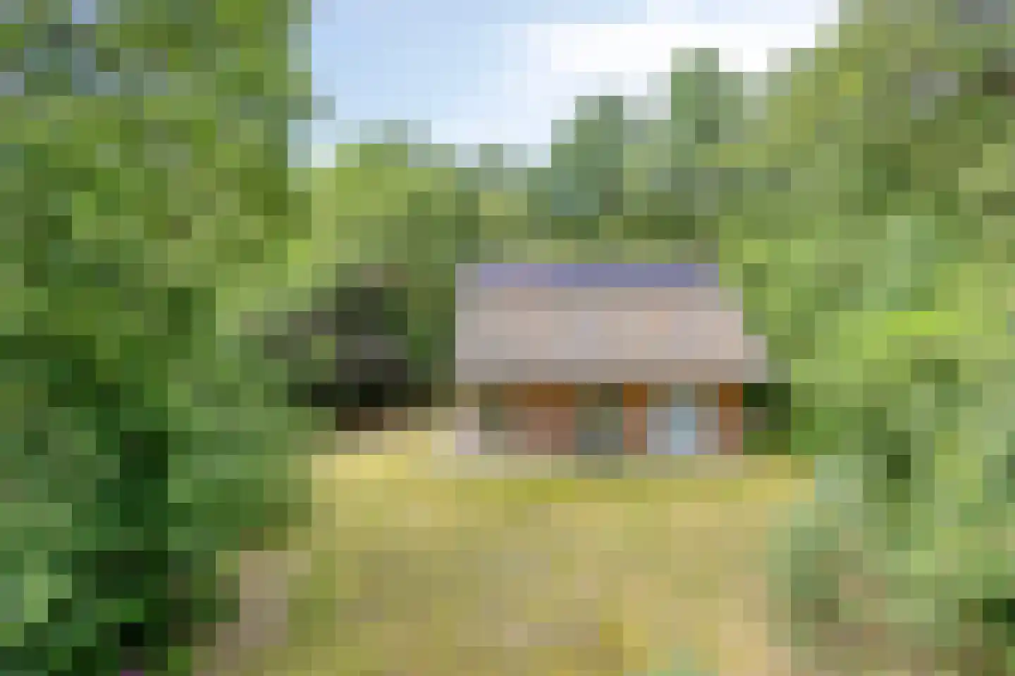 Vogelzangpad 3 Norg thumbnail 45