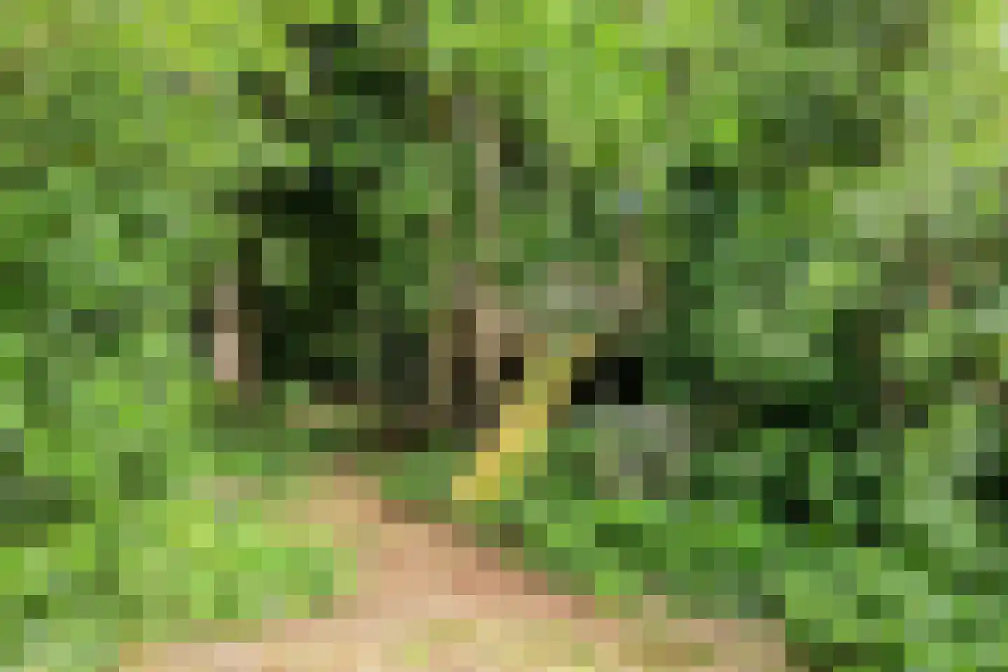 Vogelzangpad 3 Norg thumbnail 47