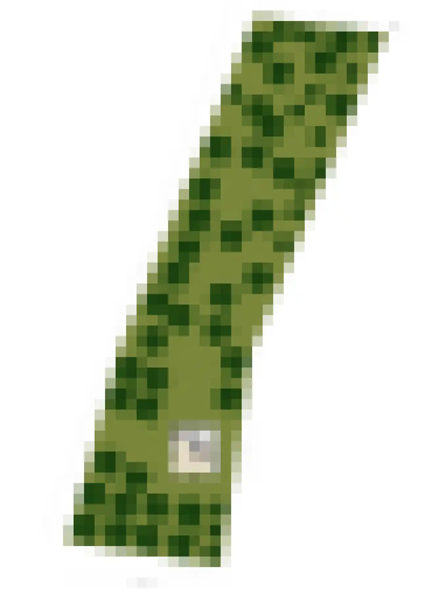Vogelzangpad 3 Norg thumbnail 52