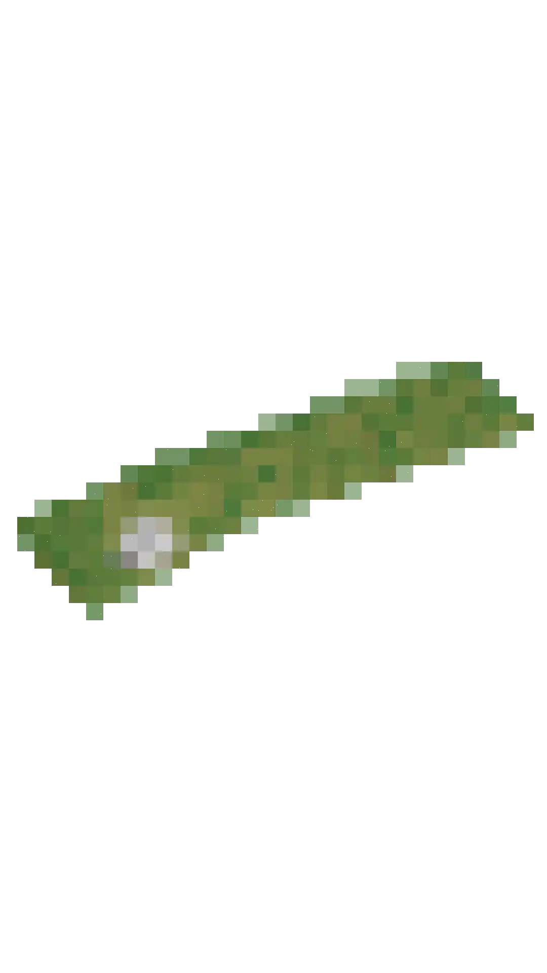 Vogelzangpad 3 Norg thumbnail 56