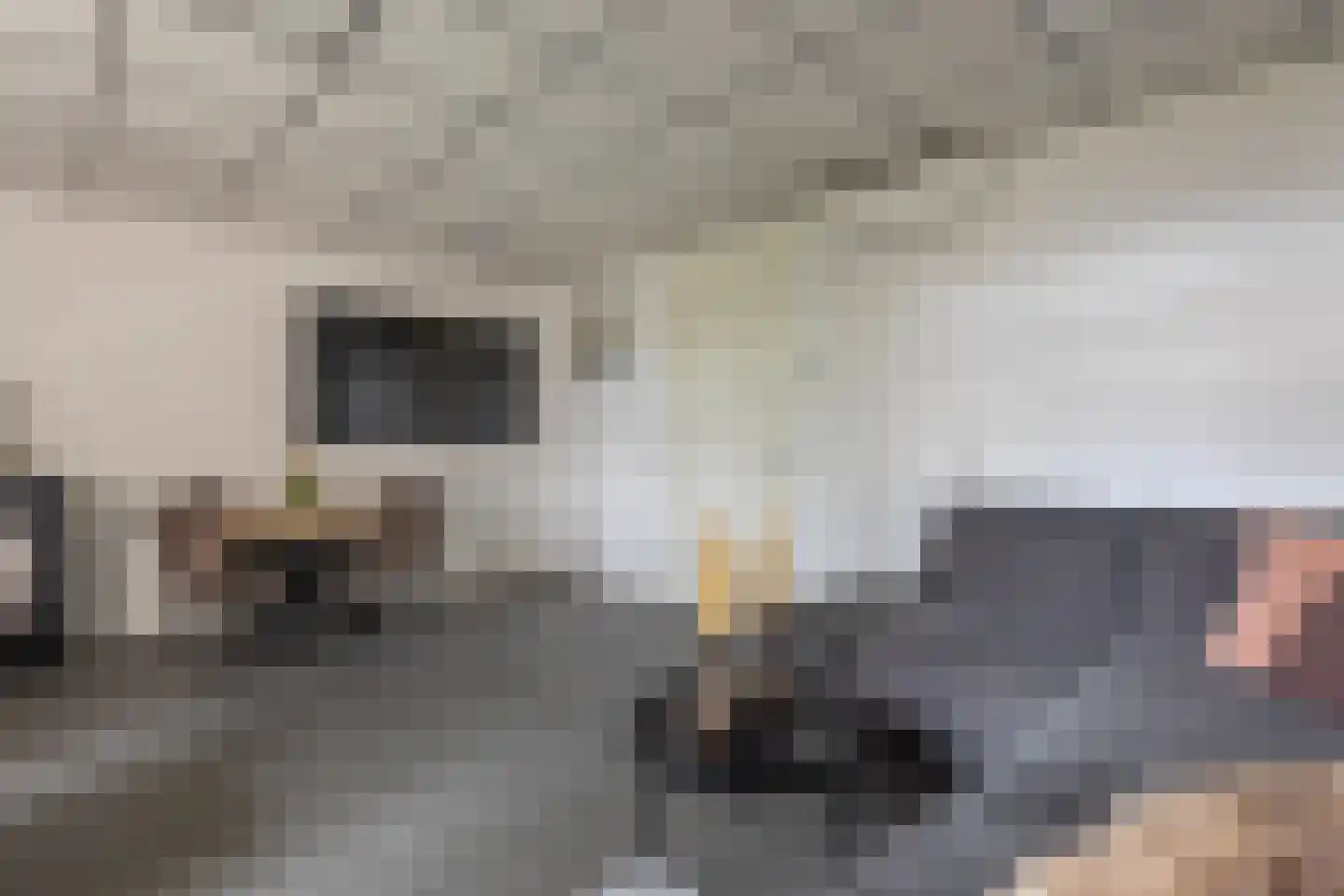Vogelzangsekade 18 A Lopik thumbnail 28