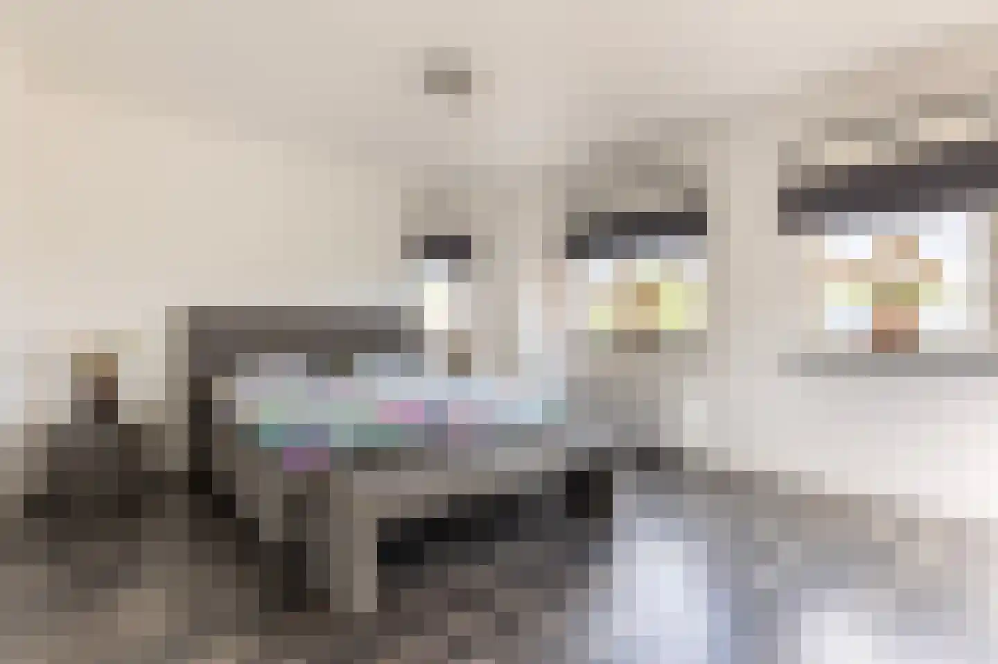 Vogelzangsekade 18 A Lopik thumbnail 33