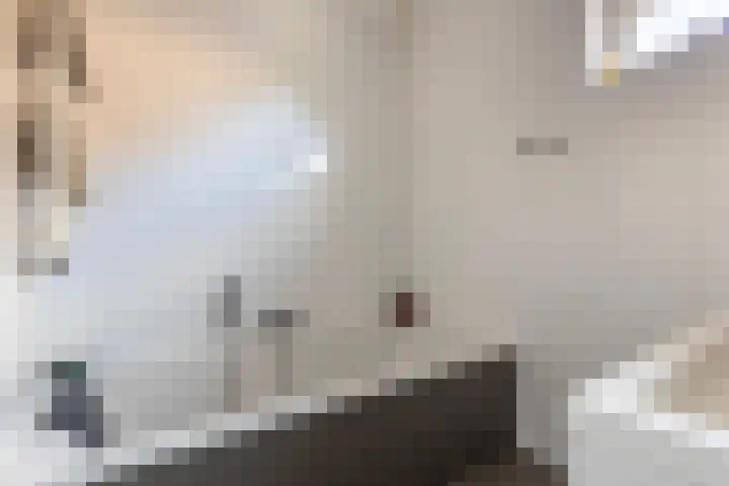 Vogelzangsekade 18 A Lopik thumbnail 36