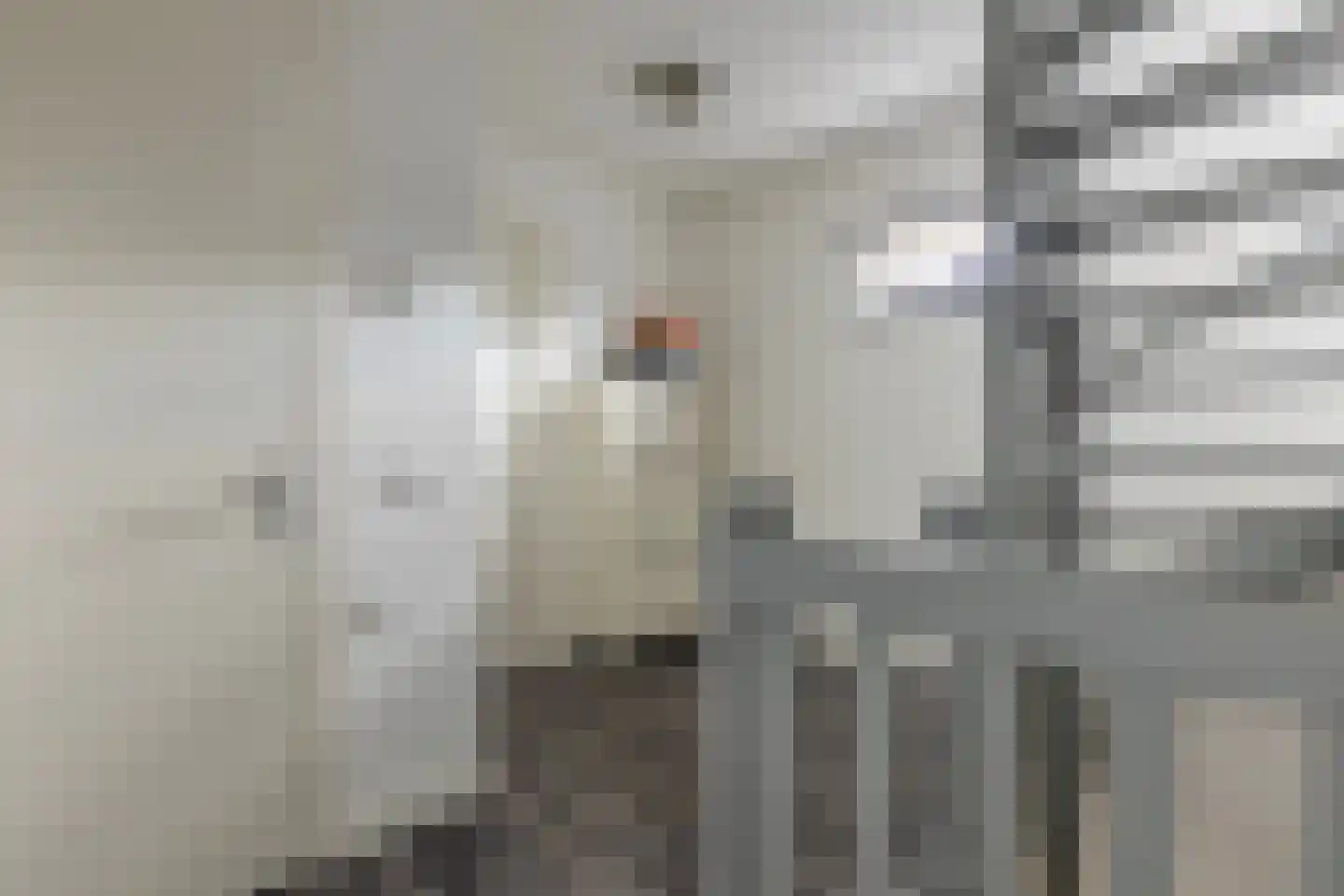 Vogelzangsekade 18 A Lopik thumbnail 42