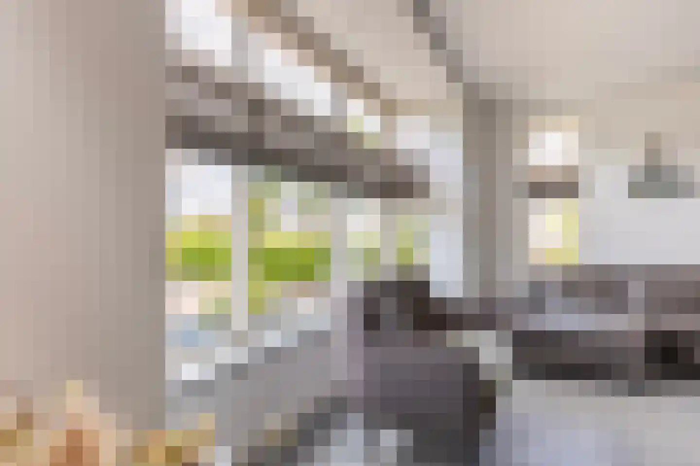 Vogelzangsekade 18 A Lopik thumbnail 9