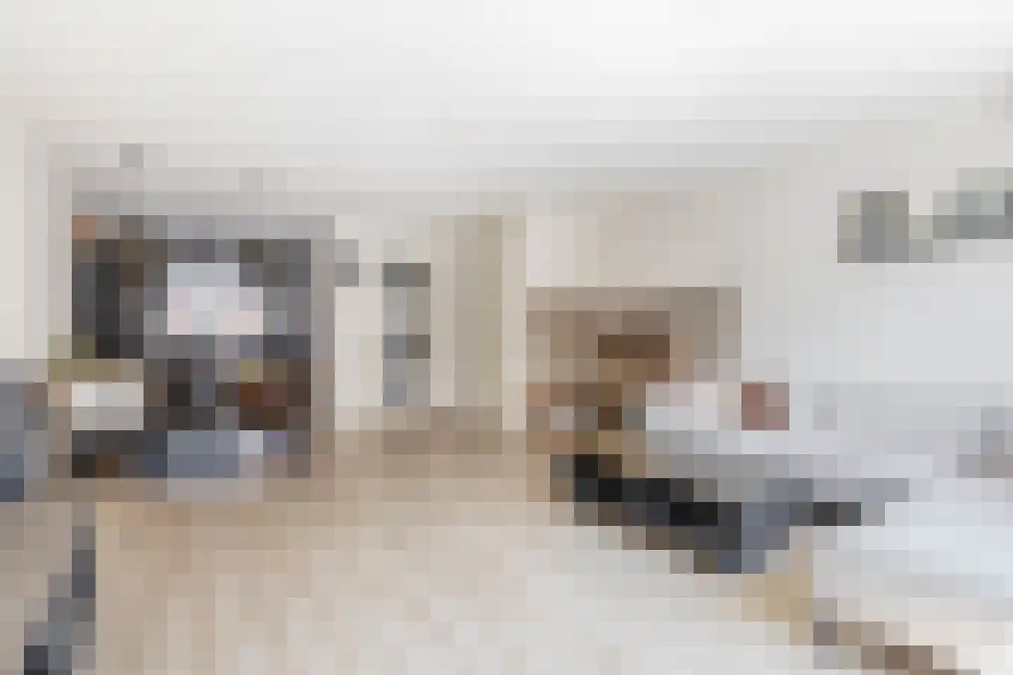 Vogelzangsekade 4 E Lopik thumbnail 13