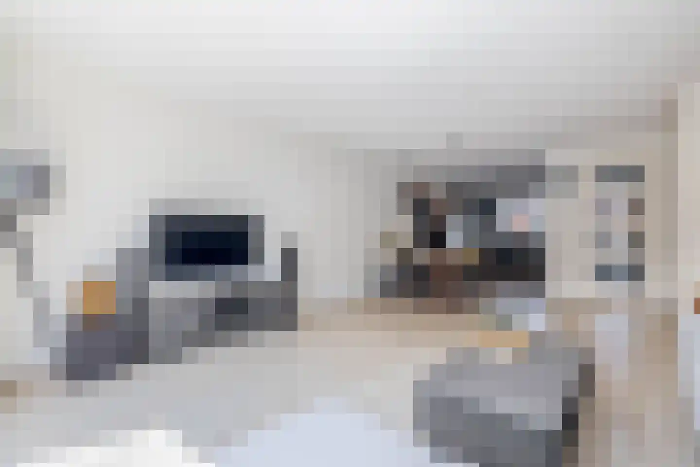 Vogelzangsekade 4 E Lopik thumbnail 14