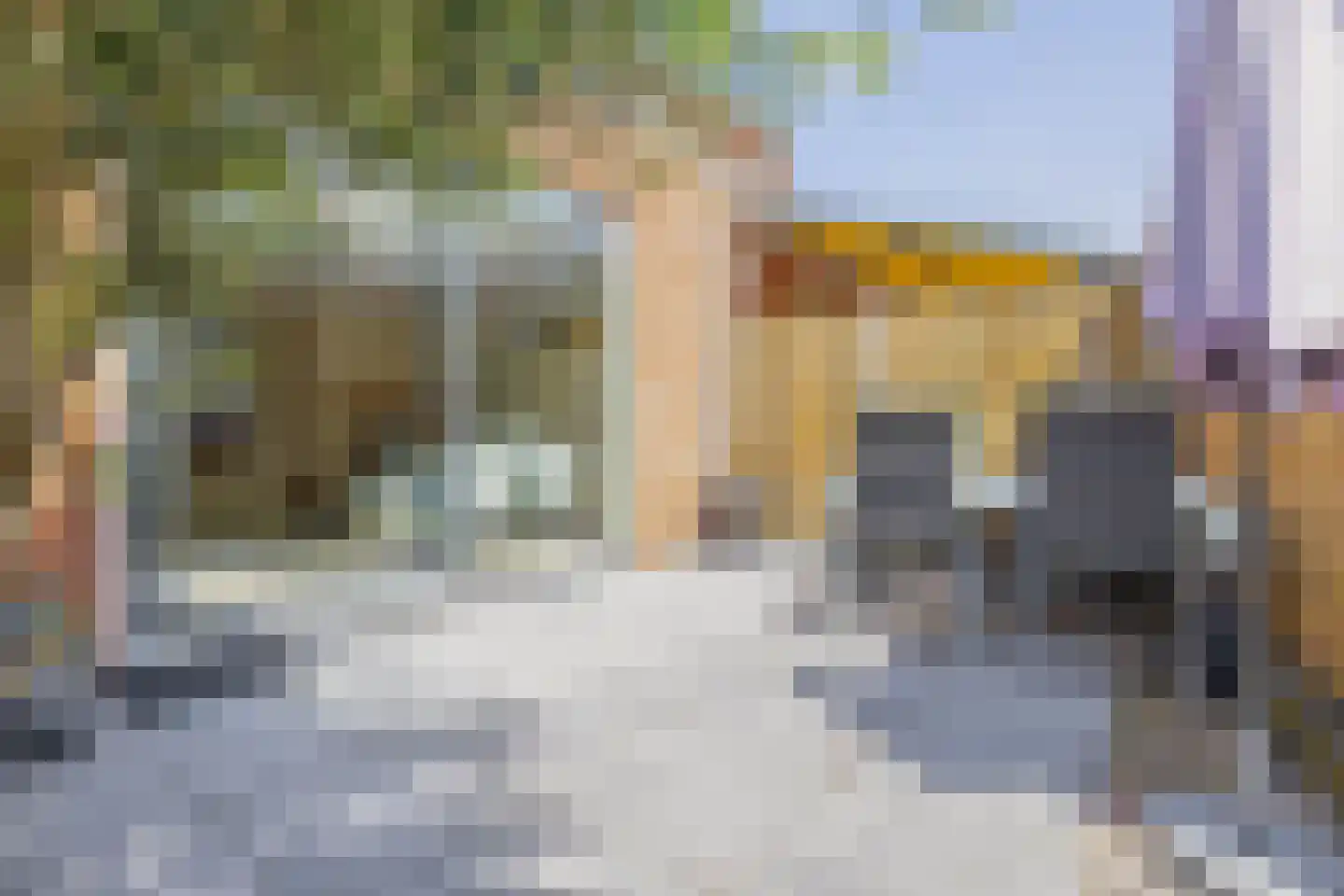 Vogelzangsekade 4 E Lopik thumbnail 24