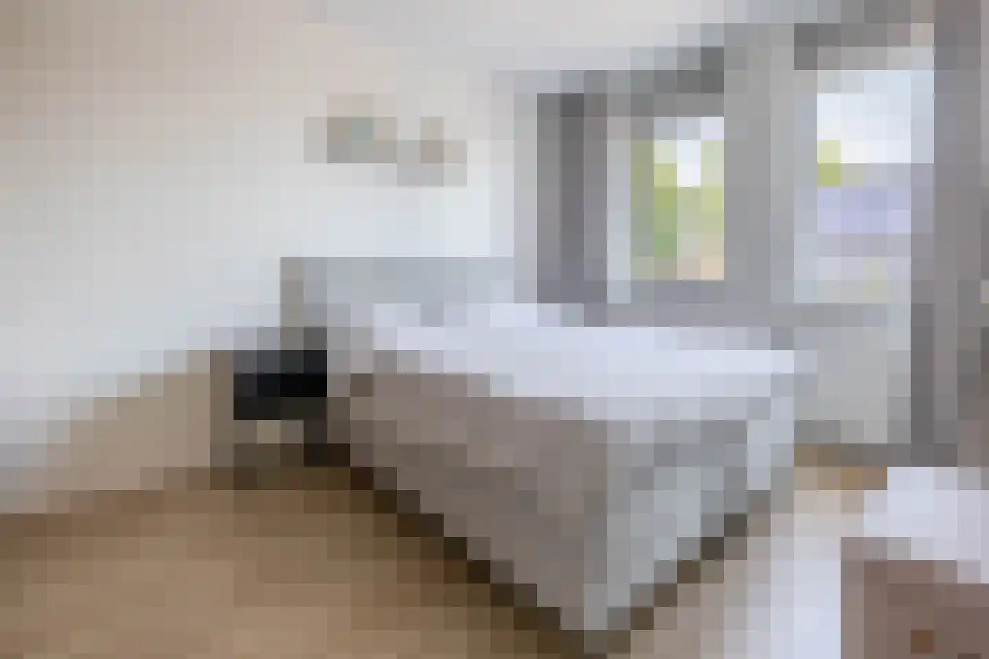 Vogelzangsekade 4 E Lopik thumbnail 28