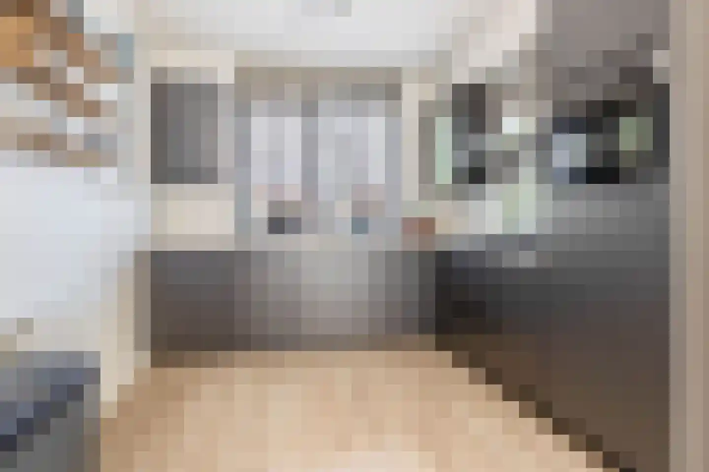 Vogelzangsekade 4 E Lopik foto 3