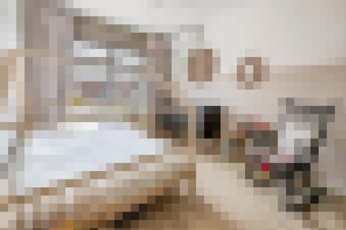 Vogelzangsekade 4 E Lopik thumbnail 34
