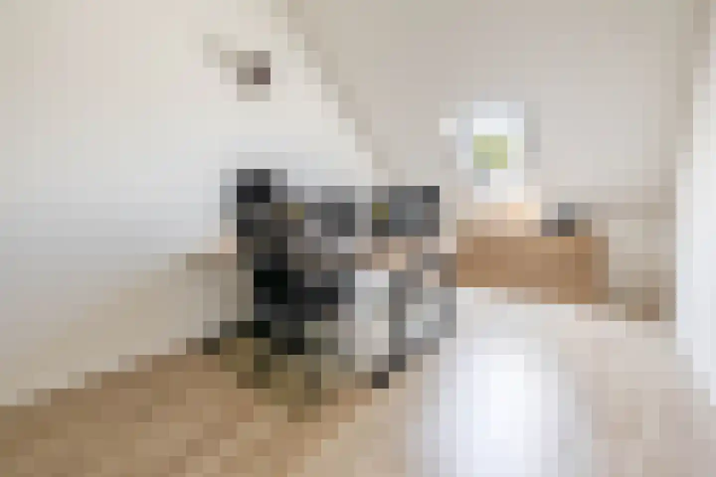 Vogelzangsekade 4 E Lopik thumbnail 38