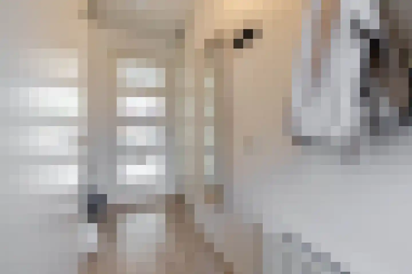 Vogelzangsekade 4 E Lopik thumbnail 8