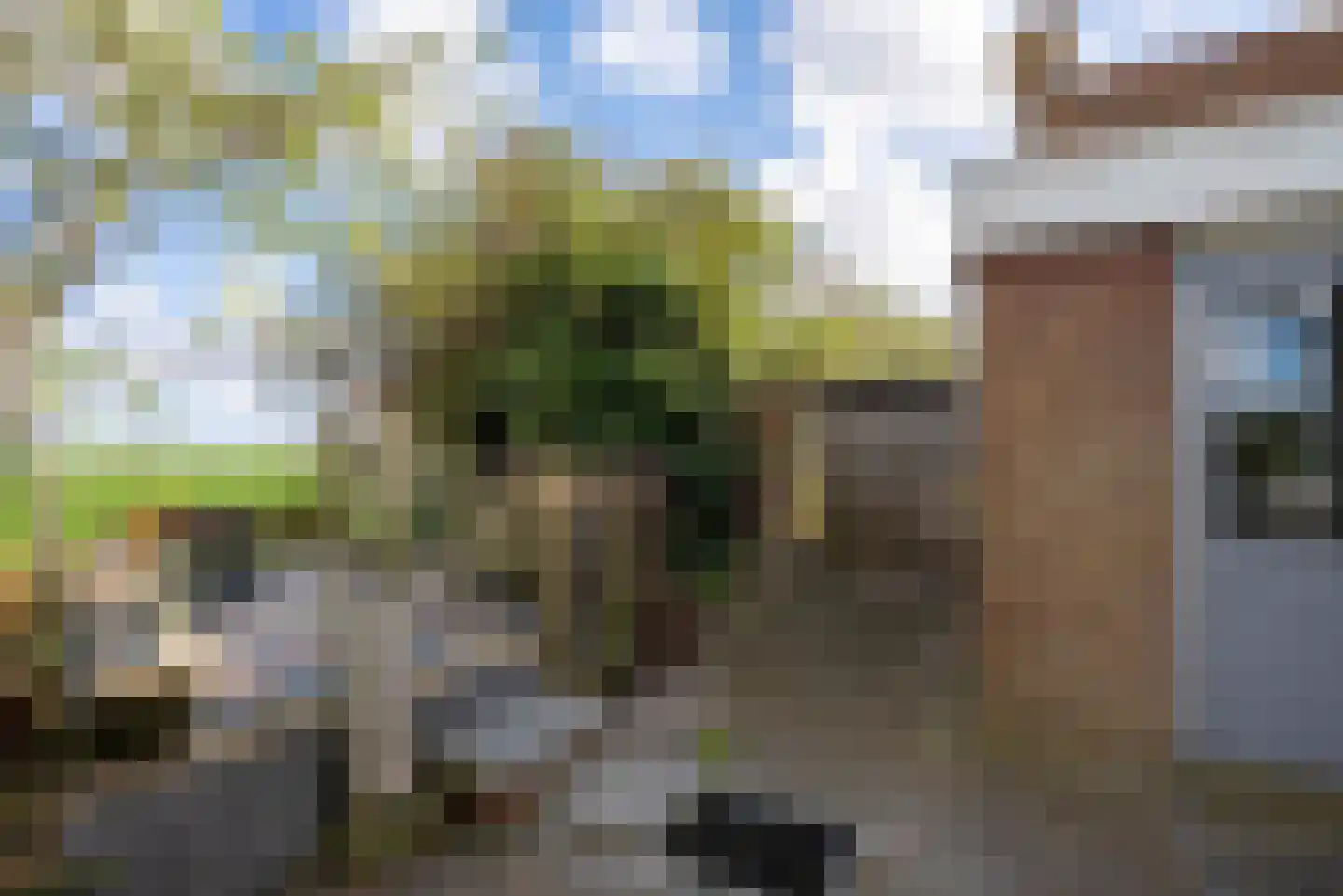 Vogelzangsterweg 2 Hegebeintum thumbnail 11
