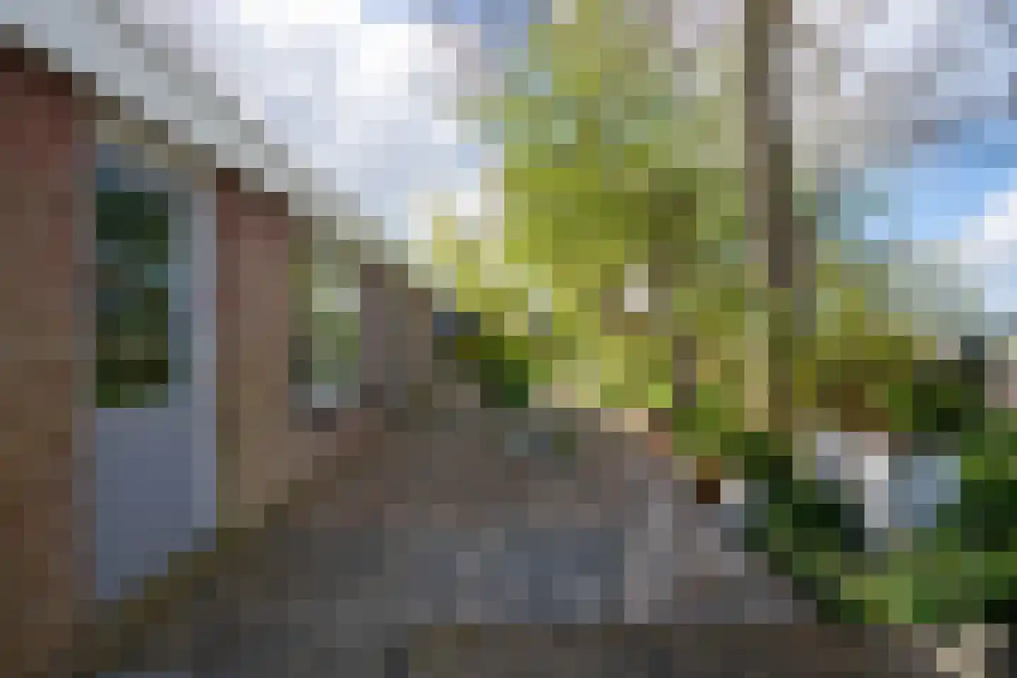 Vogelzangsterweg 2 Hegebeintum thumbnail 13