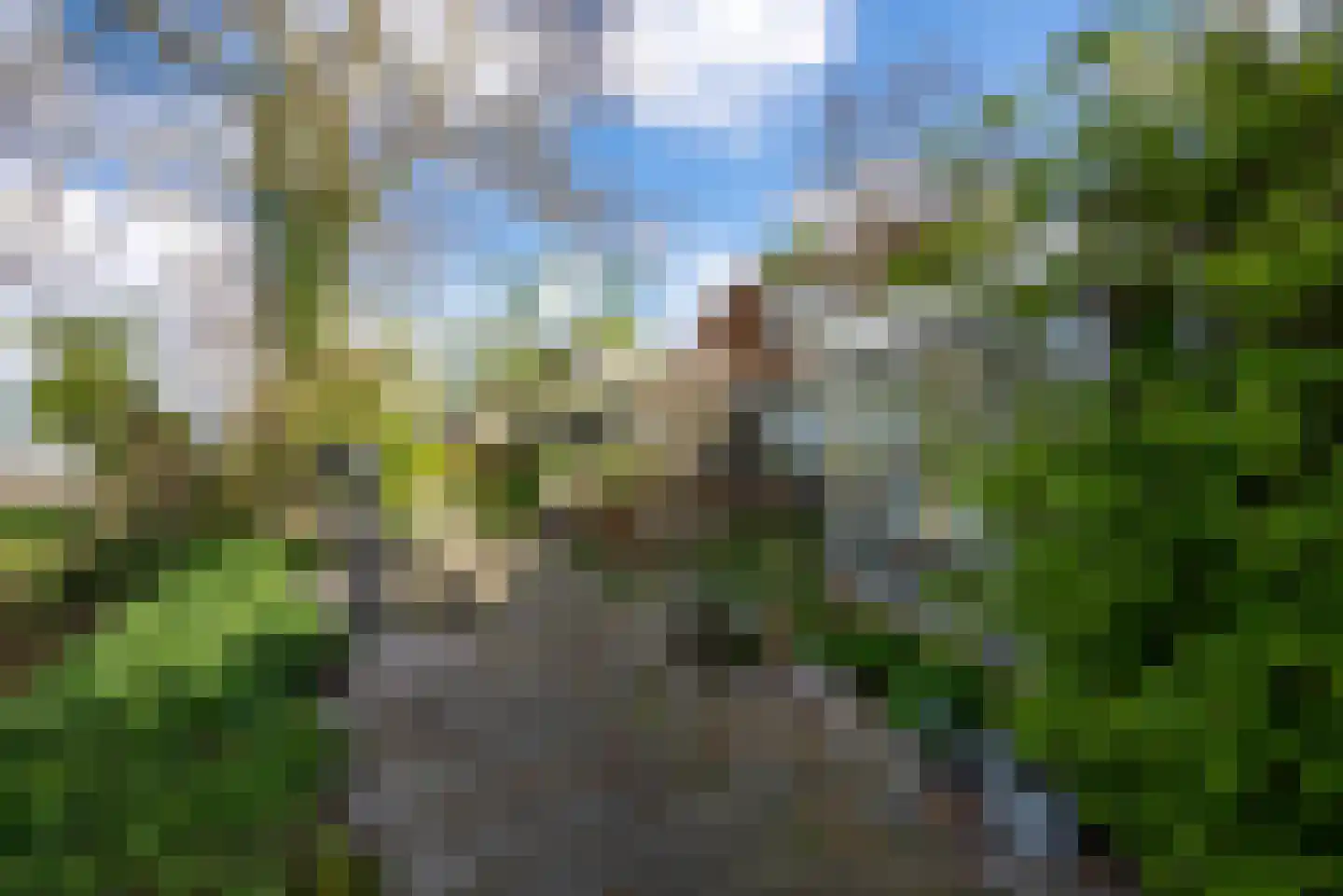 Vogelzangsterweg 2 Hegebeintum thumbnail 14