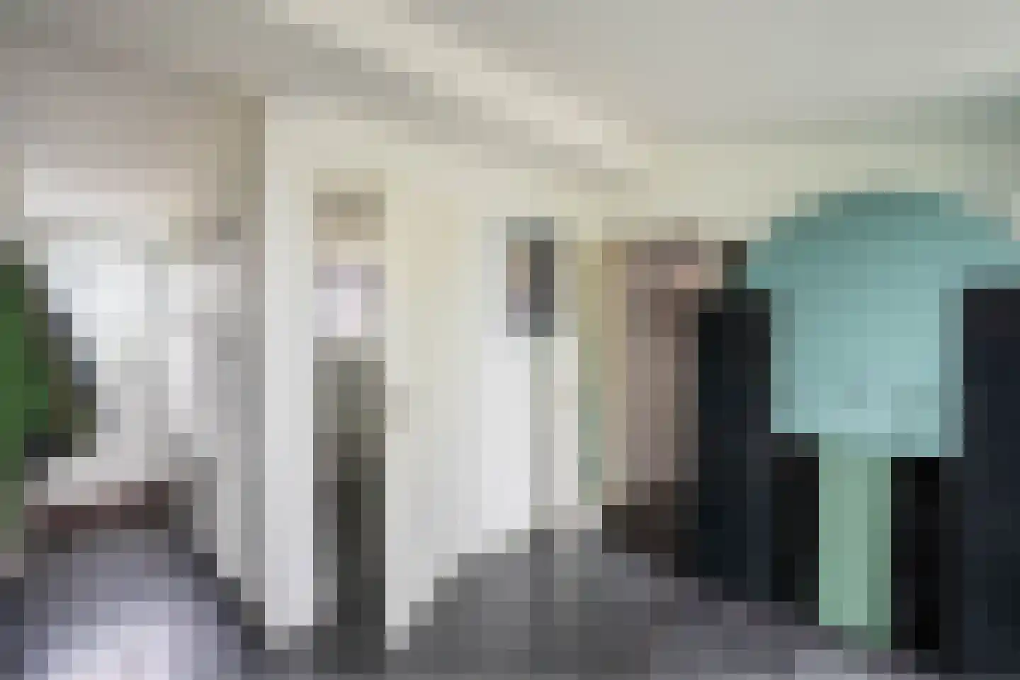 Vogelzangsterweg 2 Hegebeintum thumbnail 16