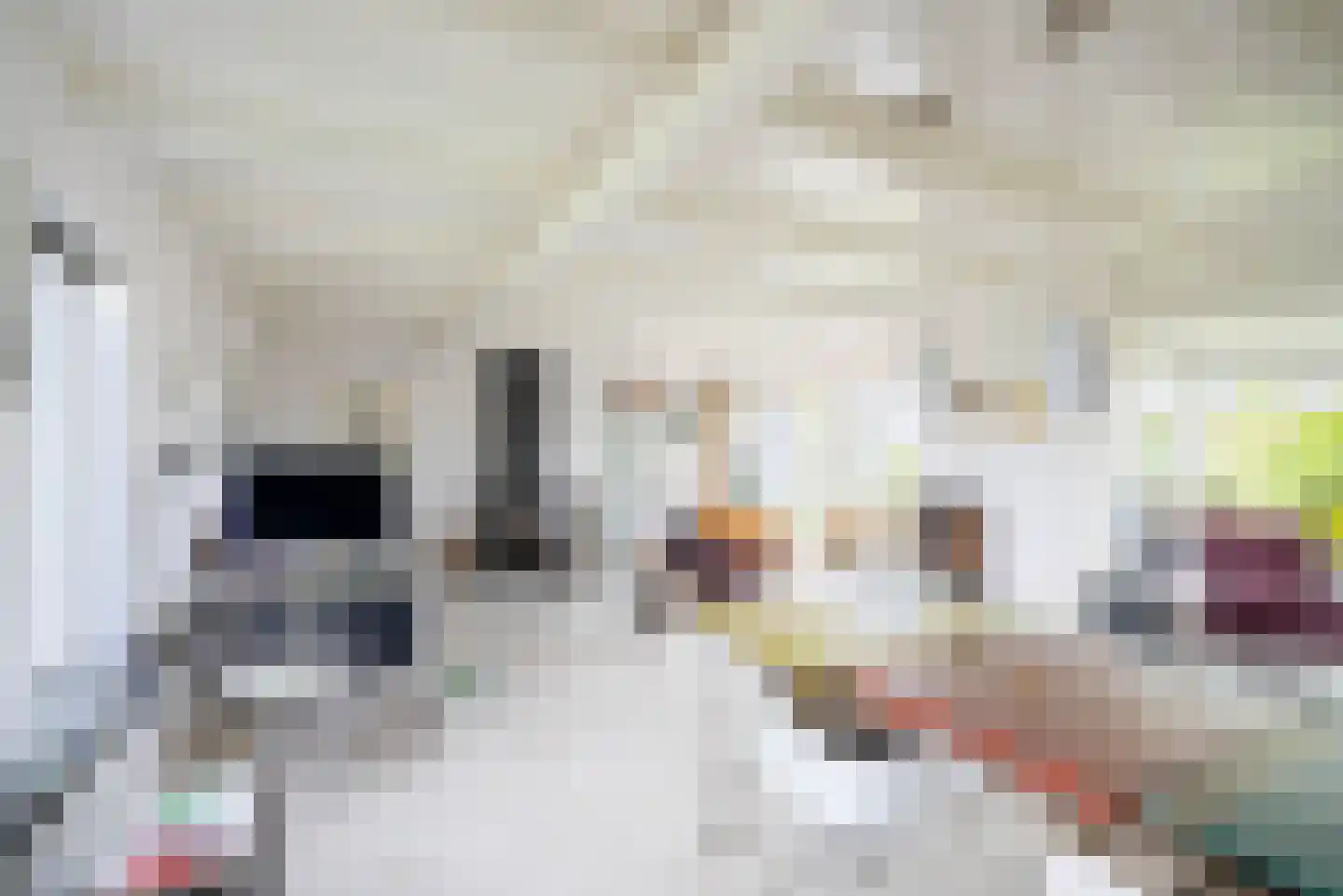 Vogelzangsterweg 2 Hegebeintum thumbnail 17