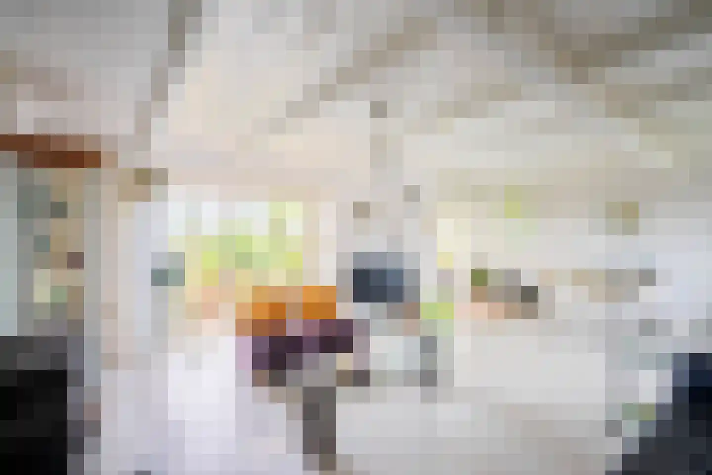 Vogelzangsterweg 2 Hegebeintum thumbnail 18