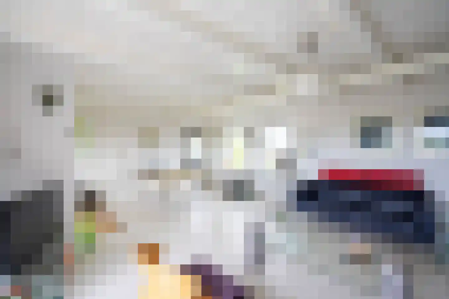 Vogelzangsterweg 2 Hegebeintum thumbnail 19