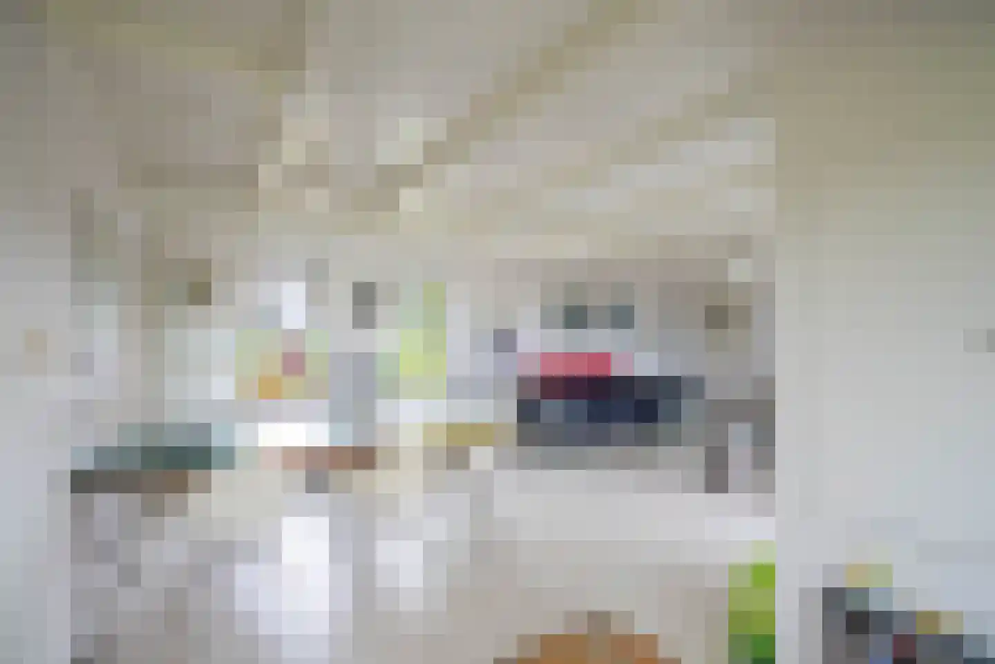 Vogelzangsterweg 2 Hegebeintum thumbnail 20