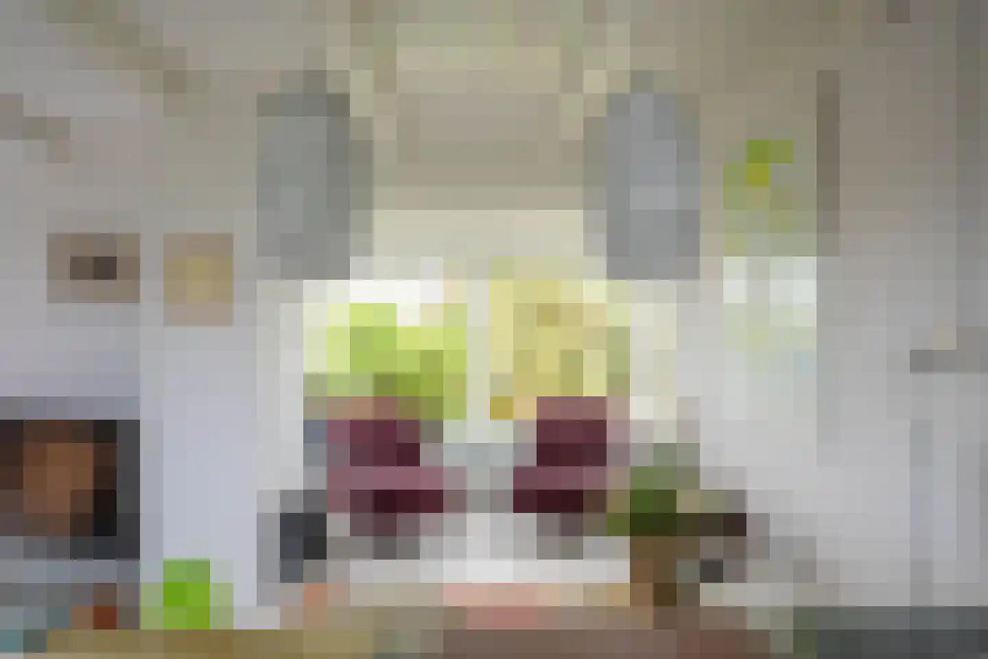 Vogelzangsterweg 2 Hegebeintum thumbnail 21