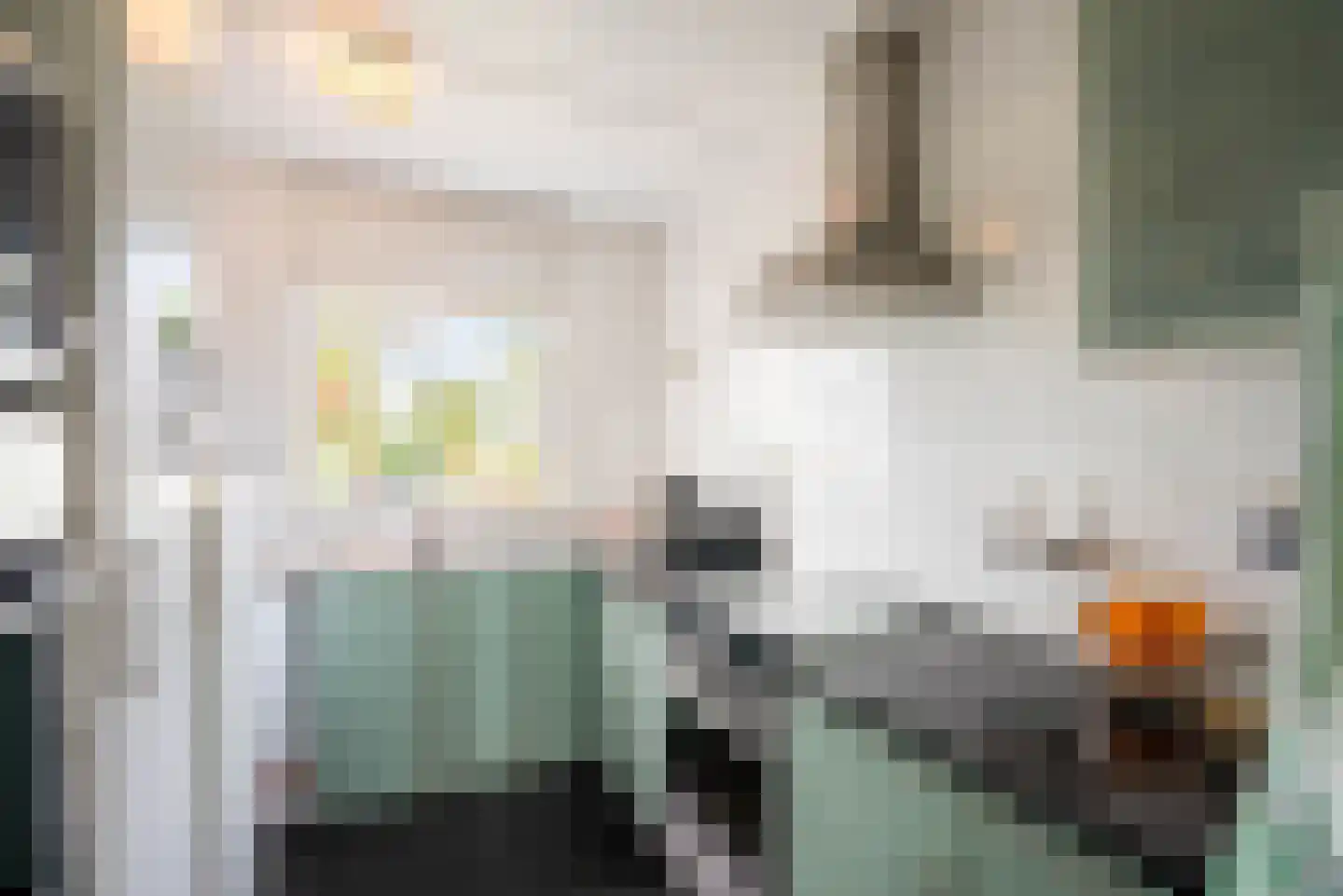 Vogelzangsterweg 2 Hegebeintum thumbnail 22