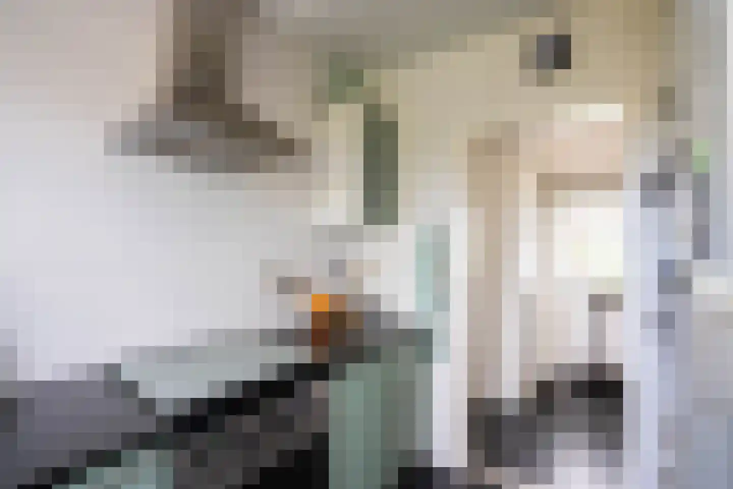 Vogelzangsterweg 2 Hegebeintum thumbnail 23