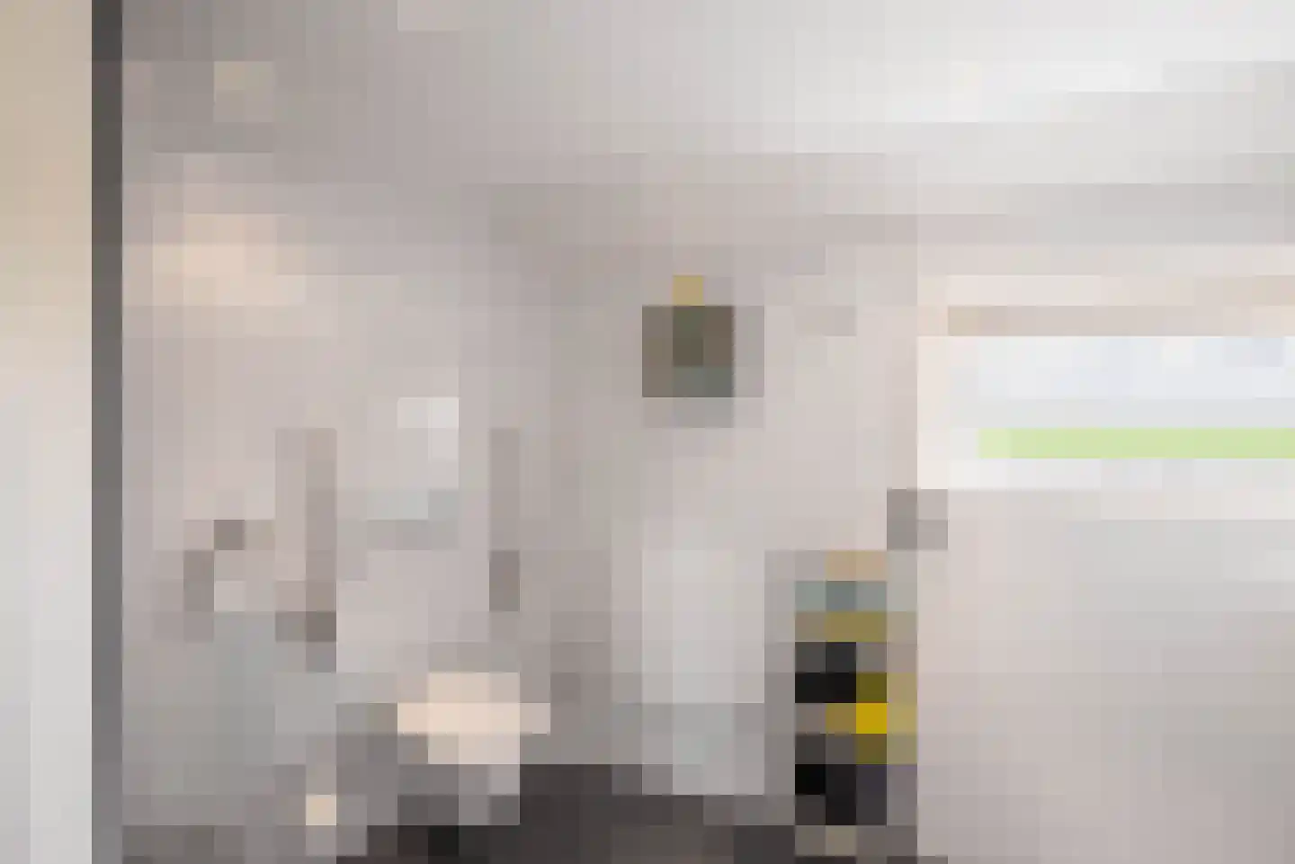 Vogelzangsterweg 2 Hegebeintum thumbnail 24