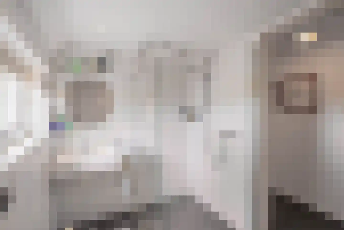 Vogelzangsterweg 2 Hegebeintum thumbnail 25